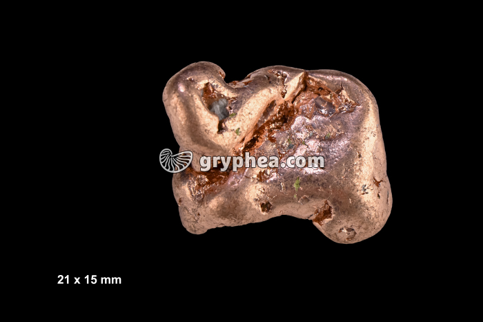 Cuivre natif (Michigan, USA) - gryphea.org